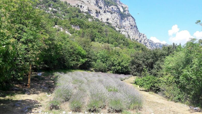 Apartamento La Pascaline