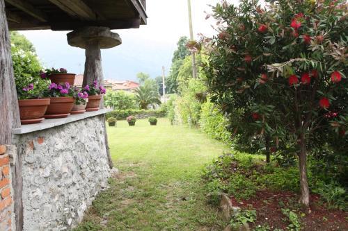 Apartamentos Los Picos