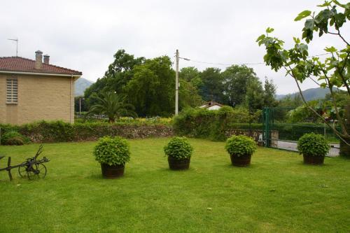 Apartamentos Los Picos