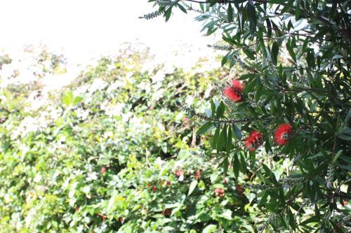 Apartamentos Los Picos