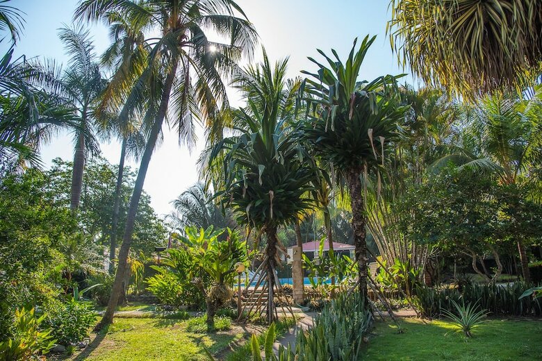 Hotel Tropical Garden