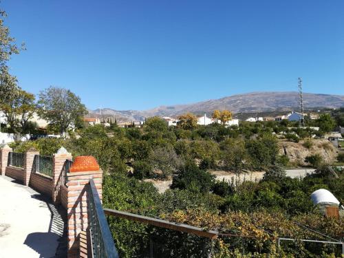 Hostal Los Naranjos