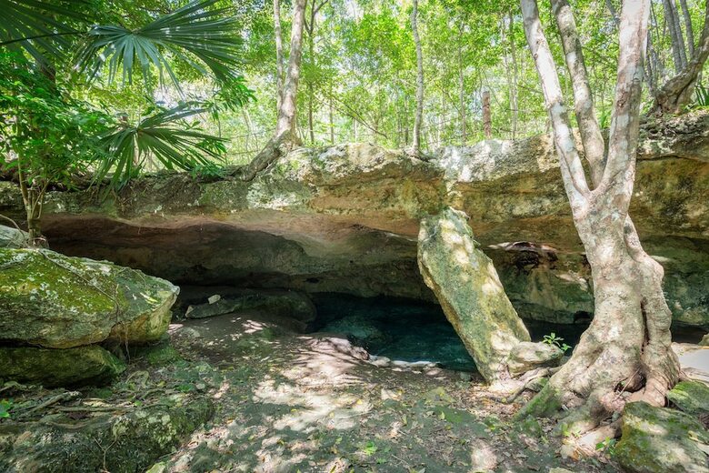 Apartamentos Casa Selva 3br With Jacuzzi - Attha Cenote