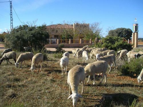 Hotel Spa Galatea