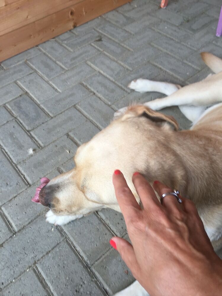B&B Il Mio Gelso
