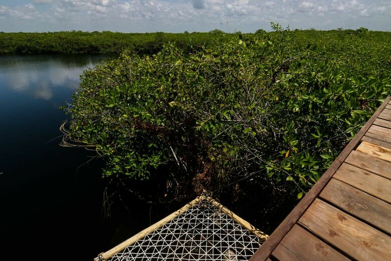Cormoran Boutique Hotel & Cenote Tulum