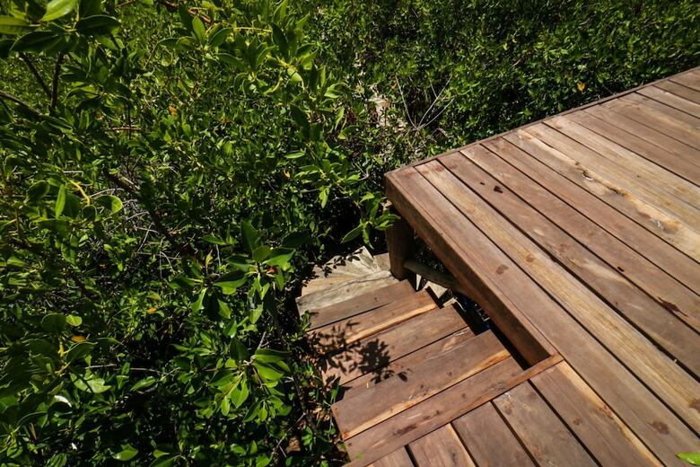 Cormoran Boutique Hotel & Cenote Tulum