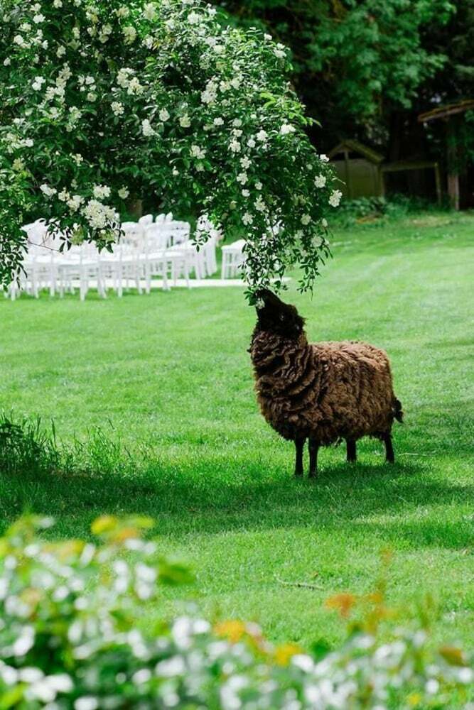 Hotel Chambres D'h�tes Le Mouton
