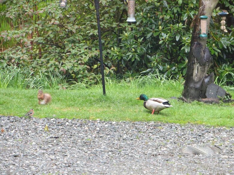 Lochwood House B&B And Self Catering