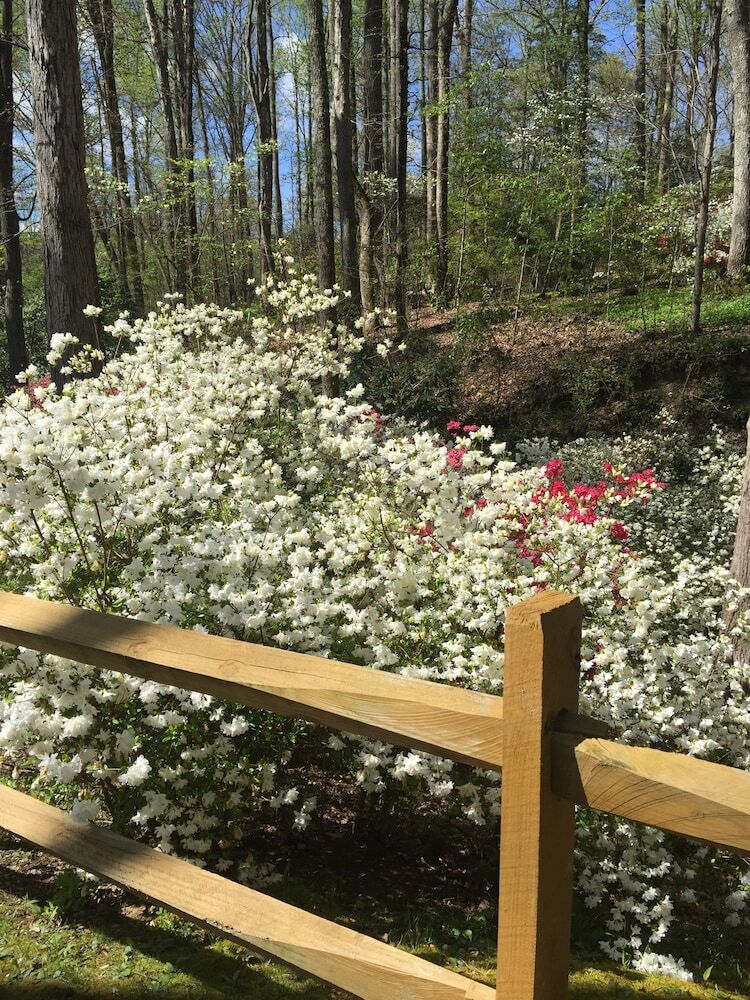 Bed & Breakfast Azalea Private Wellness Retreat Bnb