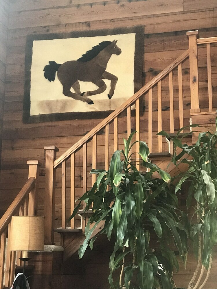 Bed & Breakfast Azalea Private Wellness Retreat Bnb