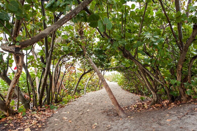 Apartamentos 88 S. Ocean Blvd