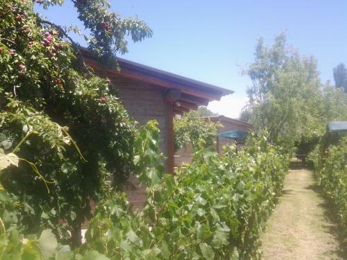 Lodge Complejo Los Ciruelos