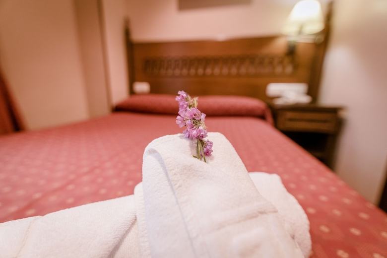 Hotel Las Almenas