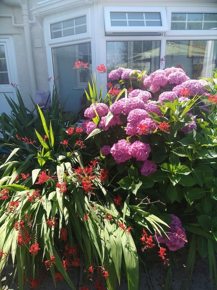 Myrtle Cottage B&B