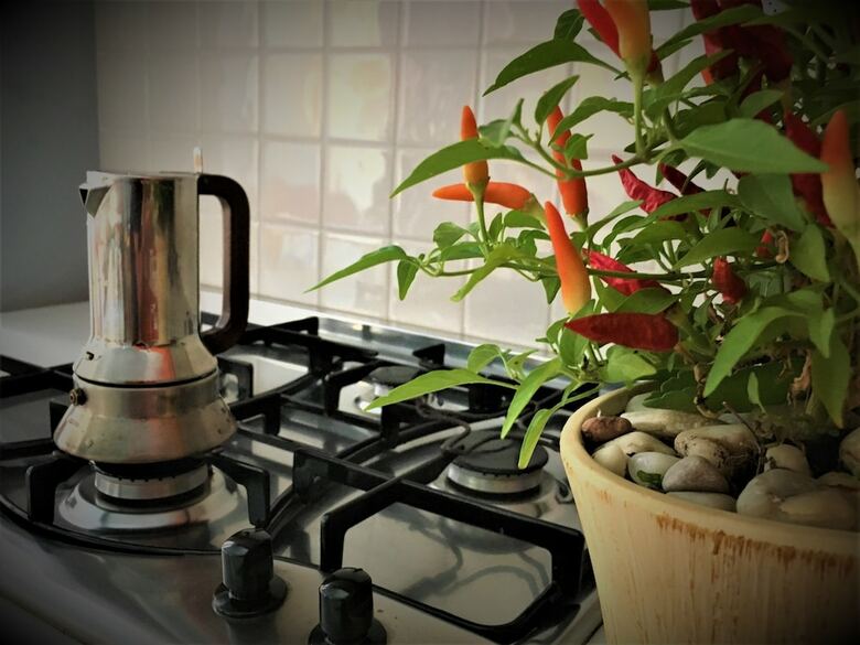 Bed & Breakfast Bogamar�