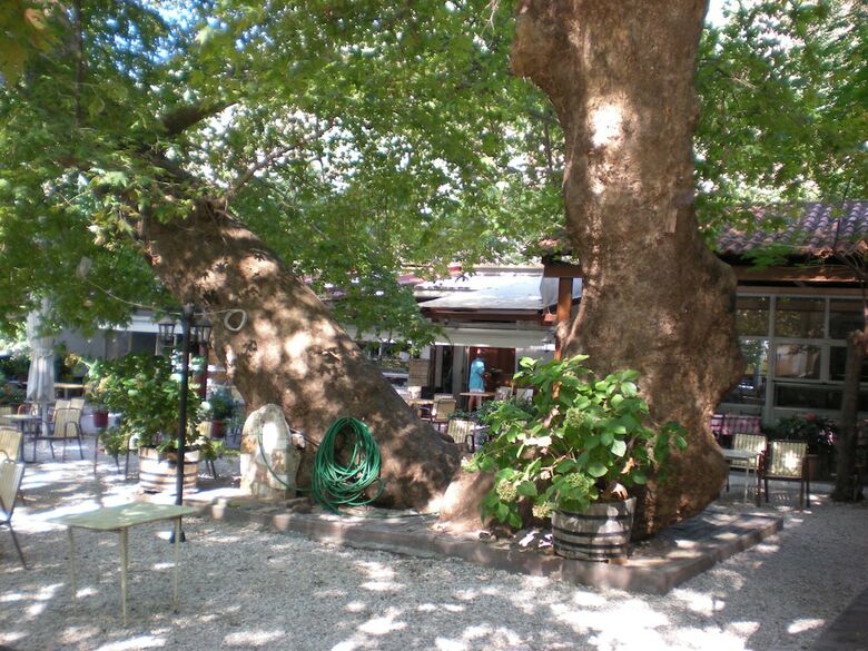 Difo Hotel