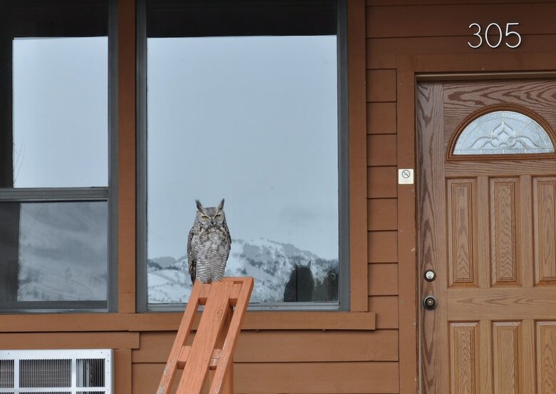 Hotel Yellowstone Village Inn And Suites