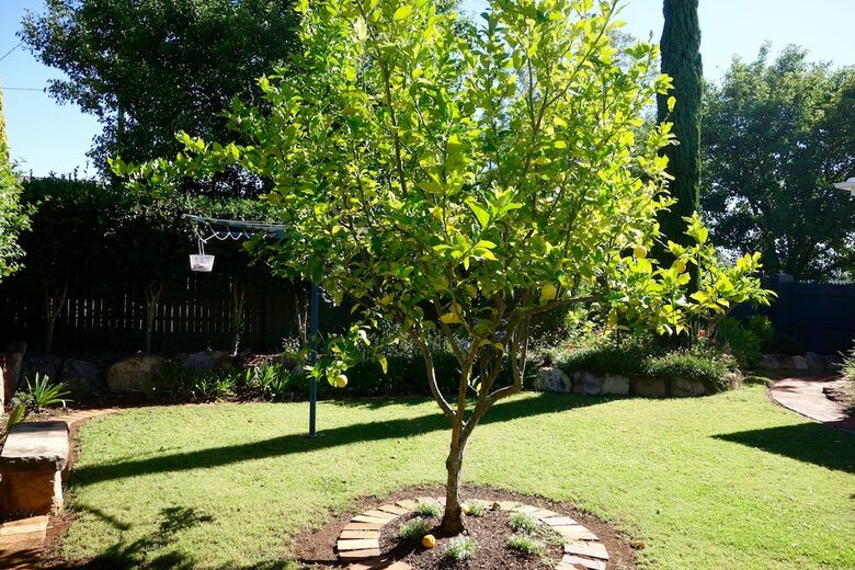 Frangipani House