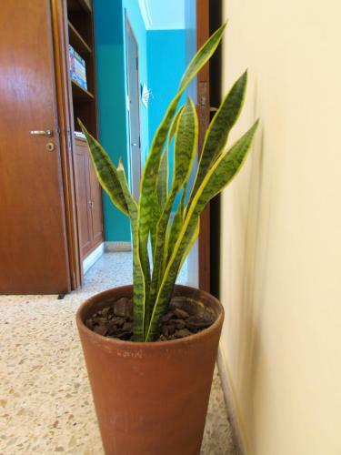 Apartamento Casa Buena Vista Tandil