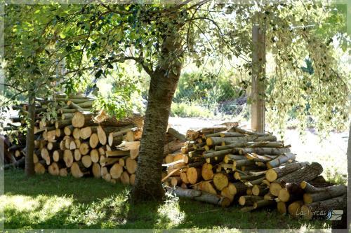 Lodge Caba�as Y Spa Las Pircas