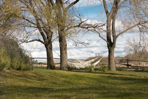 Posada Hoster�a Chacra Bliss