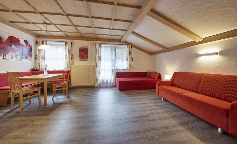 Apartamentos Appartements Living Saalbach