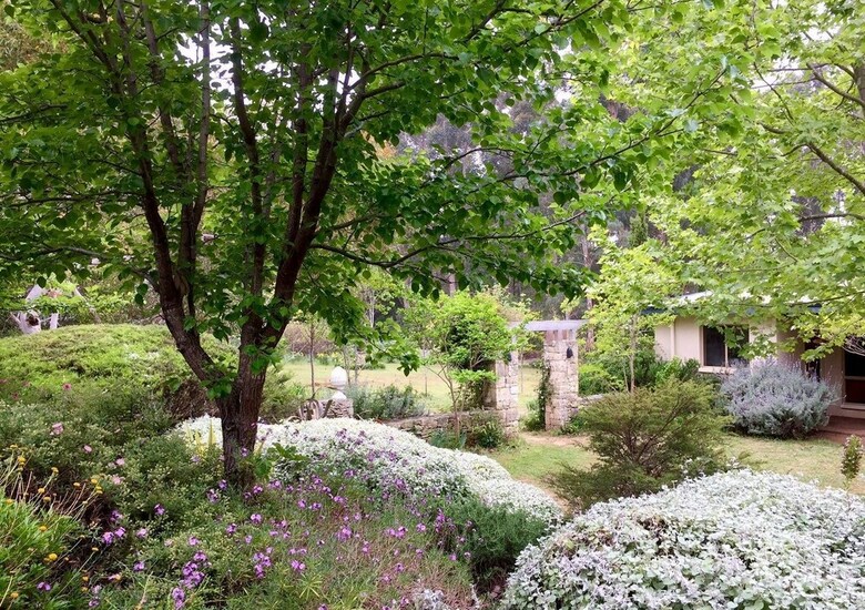 Naturescape
