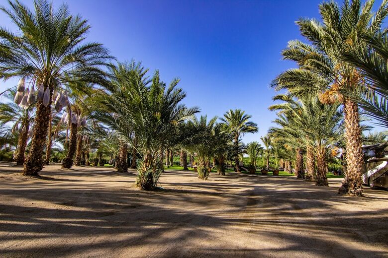 Festival Campgrounds Rancho 51