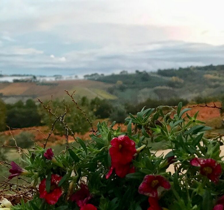 Agroturismo Genius Loci Country Inn