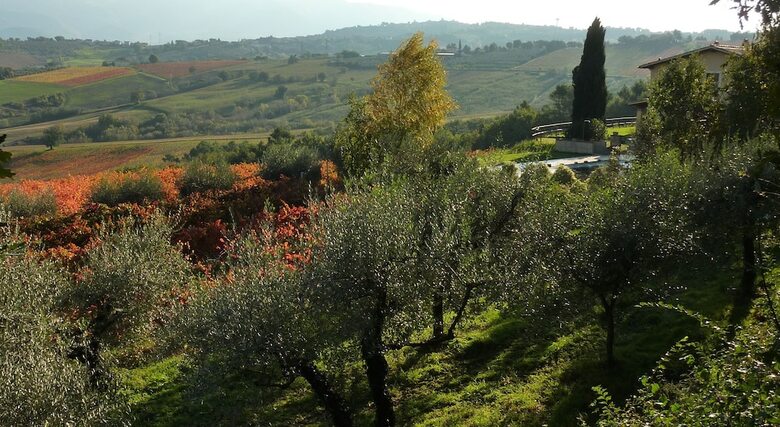 Agroturismo Genius Loci Country Inn