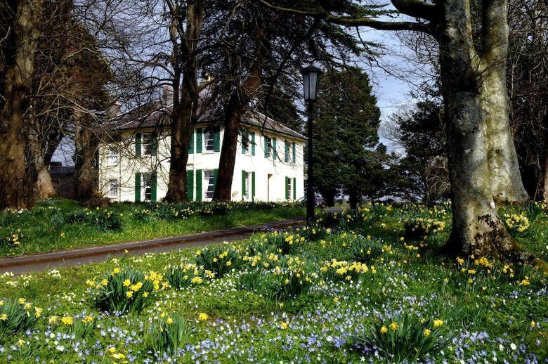 Agroturismo Elm Grove Country House