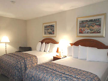 Hotel Holiday Inn Downtown