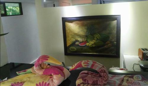 Hostal Jungle House