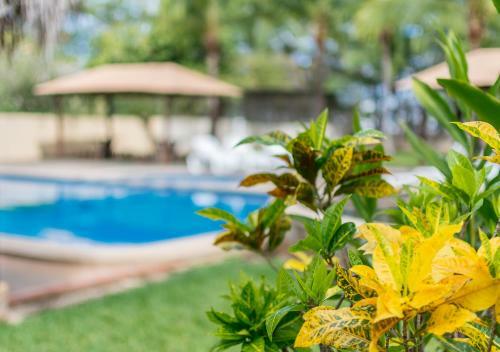 Hotel Guanacaste Lodge