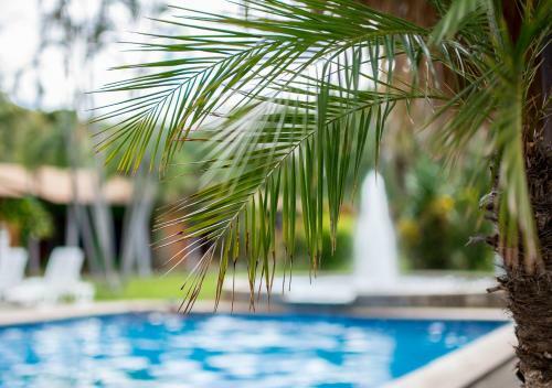 Hotel Guanacaste Lodge