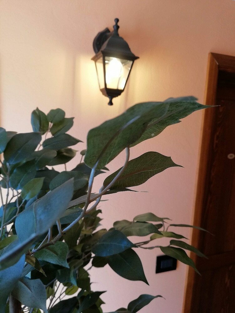 Bed & Breakfast Karingo House