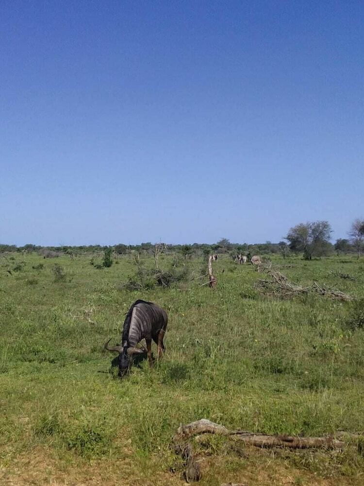 Andova Tented Camp