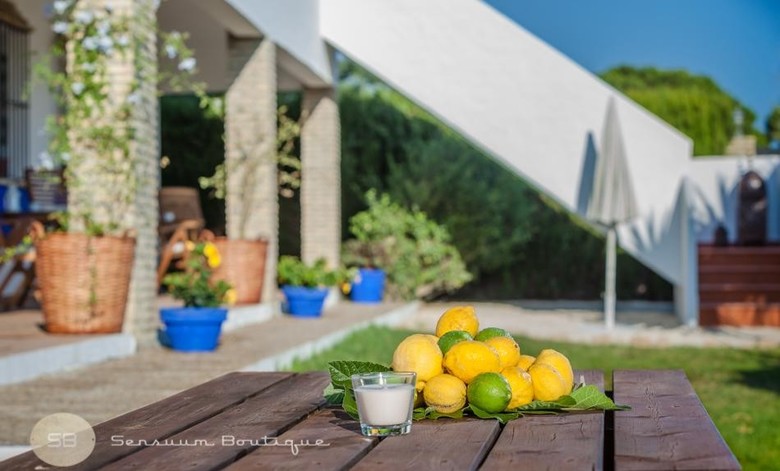 Apartamento La Limonera