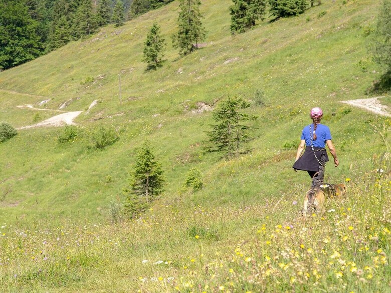 Pension Haus Wildbach