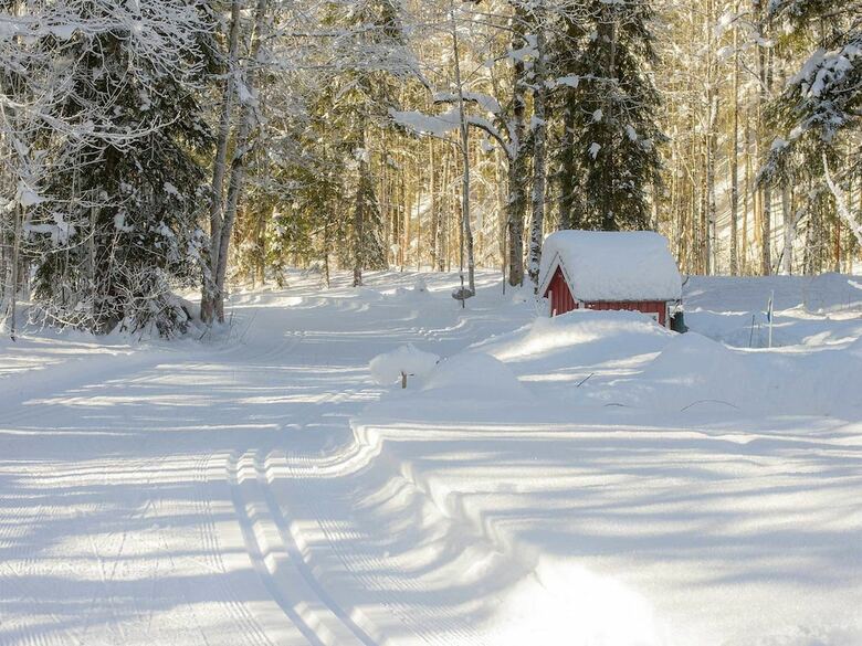 Pension Haus Wildbach
