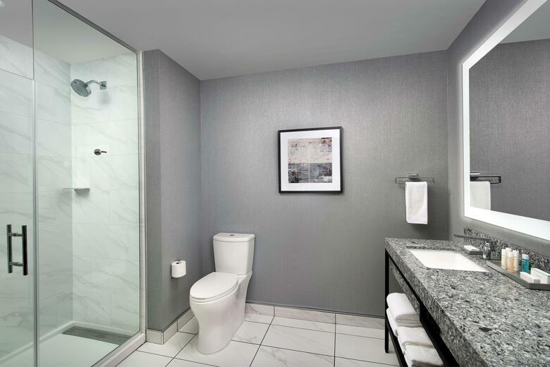 Hotel Embassy Suites By Hilton Knoxville Downtown