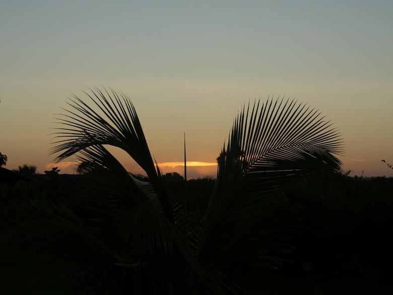 Posada Pangani Cliffs Lodge
