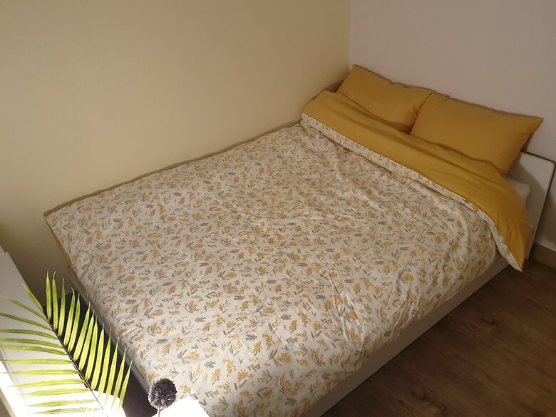 Hostal Cheese Guesthouse - Hostel
