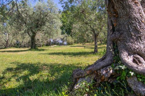 Agroturismo Agriturismo Filettro