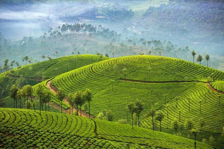 Apartamento Moon Hill Munnar