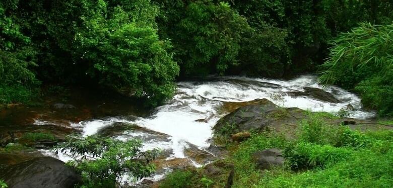 Apartamento Moon Hill Munnar