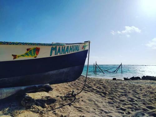 Albergue Hostal Jard�n Mahahual