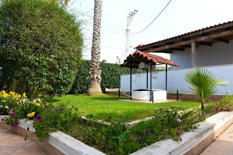 Apartamentos Patras Palm Tree