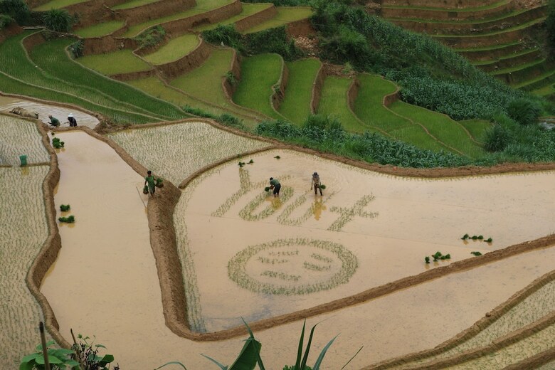 Hotel Do Gu Homestay